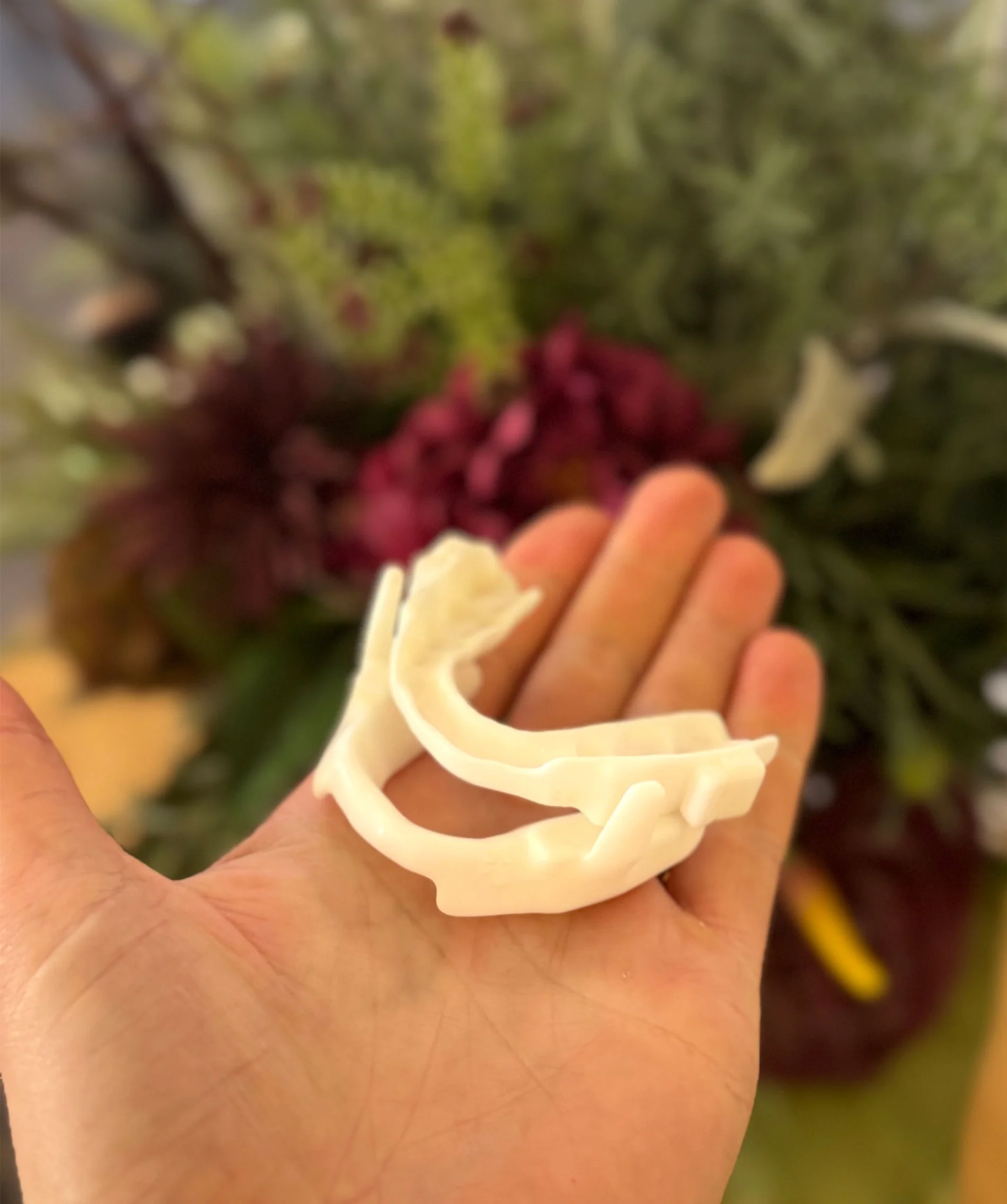 Mouthguard Flat In Hand